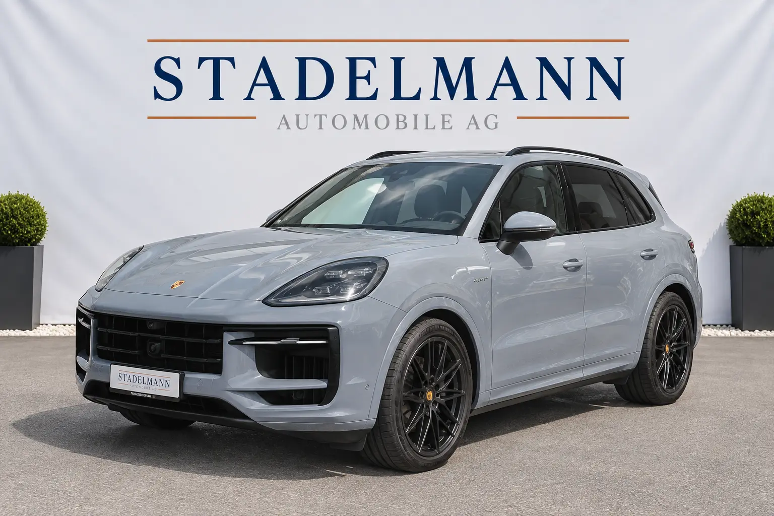 Porsche Cayenne S in Hellgrau